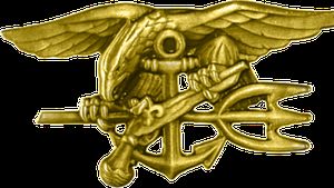 Un fost membru al US Navy SEAL a fost ucis în Ucraina