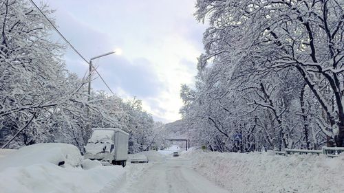 Orientul Îndepărtat rus este îngropat în zăpadă după cea mai abundentă ninsoare din ultimii 60 de ani / Transporturi perturbate în China şi Japonia