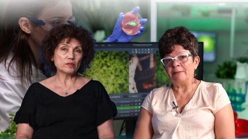 VIDEO | Produsele contrafăcute de protecție a plantelor se vând online / Carmen Botez (director executiv AIPROM): „Aceste produse nu sunt doar o problemă economică, sunt un adevărat pericol”