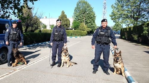 24.000 de polițiști, jandarmi și alți angajați MAI, detașați în weekendul Sărbătorilor Floriilor Ortodoxe