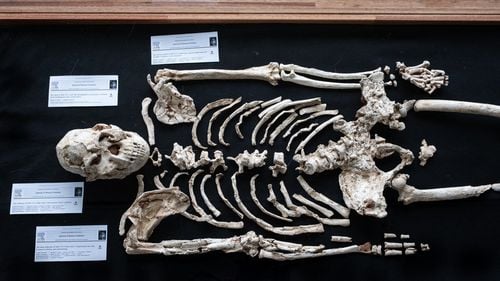 Peștera Sterkfontein din Africa de Sud, supranumită „leagănul umanității”, a fost redeschisă