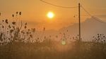 Valul de căldură din iulie ameninţă să ţină preţurile la energie electrică la un nivel ridicat