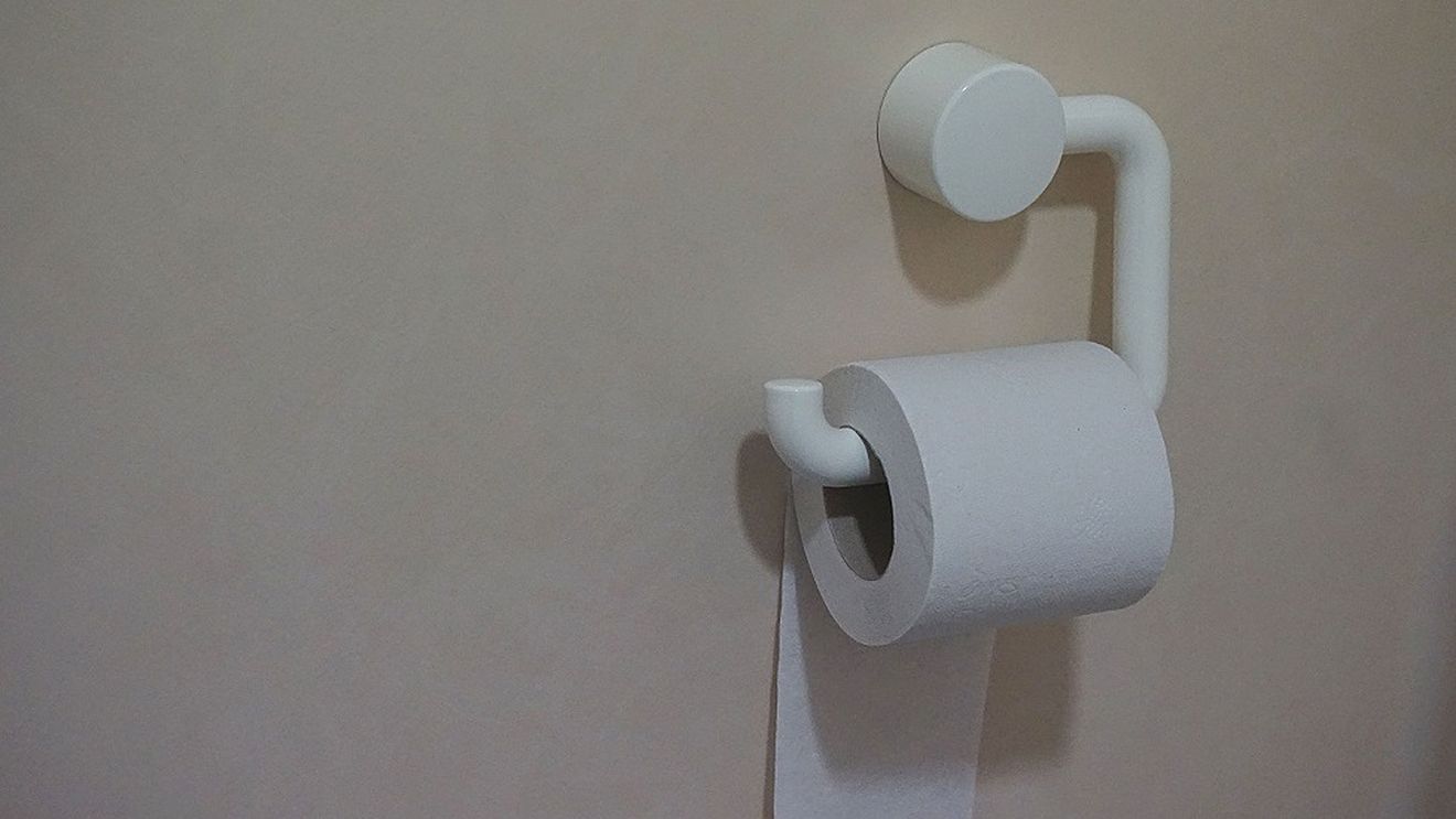 LISTĂ Peste 50 de școli cu latrine primesc 4 milioane de lei ca să-și construiască toalete. Primăriile trebuie să se ocupe de lucrări – proiect HG