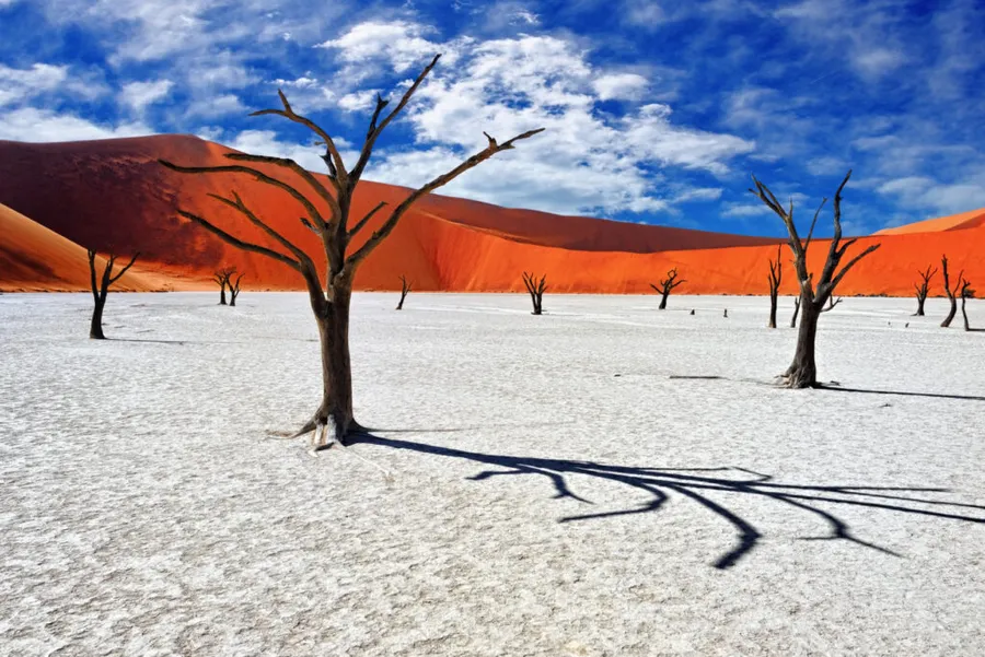 Dead Vlei-mlastina moarta-Namibia