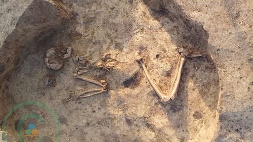 Schelete de 3.500 de ani, descoperite pe şantierul Spitalului Regional de Urgență din Iași / Lucrările nu sunt afectate de descoperire / Se vor face analize ADN pentru detalii privind modul lor de viaţă, cauza morţii şi bolile patologie