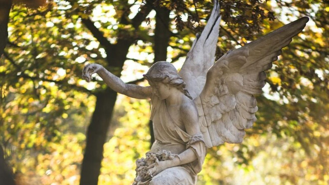 Cum va deveni un cimitir dintr-un mic oraş francez sursă de energie electrică ieftină prentru localnici