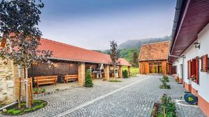 Destinație de vacanță. Un fost internațional român s-a apucat de turism. A transformat o casă săsească părăsită într-o pensiune