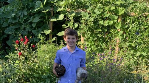 INTERVIU | Arthur Motté, tânărul care cultivă legume bio pe doar 15 metri pătrați: „Nu ai nevoie de o grădină mare ca să produci hrană”