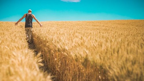 Raport OLAF: România a fraudat cele mai multe fonduri europene din Agricultură în ultimii cinci ani, peste 60 de milioane de euro/ În 2018, România și Italia au înregistrat 61% din totalul fraudelor de la nivelul UE