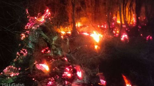 Incendiu de proporții într-o pădure din județul Galați / Au ars aproximativ 10 hectare de pădure