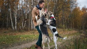 Meseria de îngrijitor de câini a devenit legală în România. INTERVIU cu Radu, tânărul care transformă pasiunea pentru animale în carieră: „Munca mea capătă valoare”
