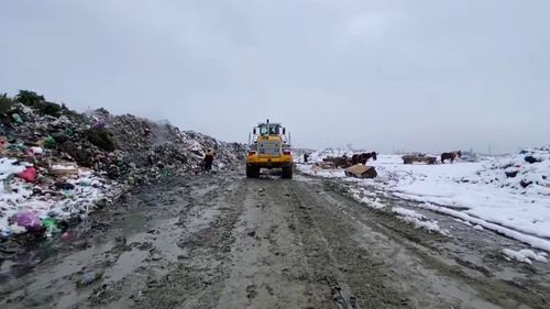 VIDEO Primarul din Baia Mare, acuzat că aruncă deșeurile menajere pe malul râului Săsar, după ce contractul cu operatorul de salubritate Drusal a fost anulat
