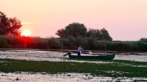 Președintele Iohannis a atacat la CCR legea acvaculturii, un tun dat în ultimele zile ale sesiunii parlamentare. Legea dezincrimina practic vânzarea de pește fără documente de proveniență