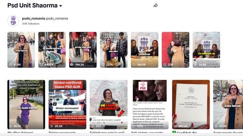 FOTO ”Votul cumulativ”, ”Călin Georgescu votează SENS”, clonele PSD cu shaorma și războiul tagurilor: Strategii care au produs confuzie în cele mai fragmentate alegeri parlamentare