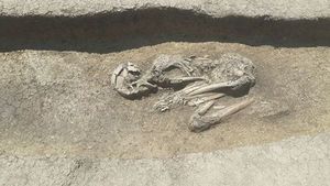 O necropolă antică cu 40 de morminte și rămășițe umane de bebeluși și adulți a fost descoperită în Corsica