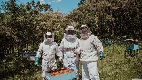 Apicultorii din Hunedoara se plâng de cea mai slabă producţie de miere din ultimii 30 de ani și cer ajutorul statului: Avem probleme de câţiva ani, mai ales la florile de salcâm. Este foarte clar că s-a schimbat clima