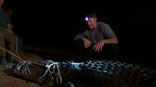 Un renumit expert britanic în crocodili recunoaște că a abuzat sexual zeci de câini