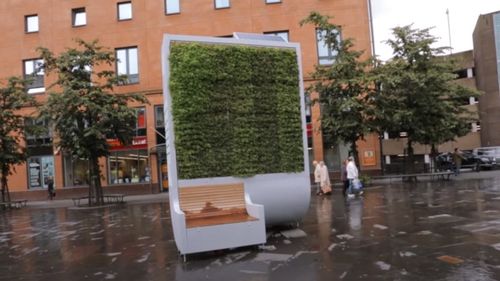 Primăria Brașov vrea să cumpere primul copac urban / Costă peste 300 de mii de lei, iar capacitatea de filtrare a acestui sistem este egală cu cea a 275 de arbori