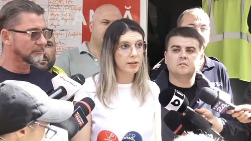 Federația Greenfield, în conflictul privind accesul auto prin Pădurea Băneasa convenit cu Romsilva, scrie ministrului Mediului Diana Buzoianu, după opoziția ONG-urilor de mediu: „Pădurea Băneasa are nevoie de protecție națională și acces sigur pentru comunitate”