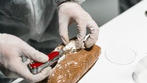 Franţa: Patronul unei firme a descoperit un kilogram de cocaină în timp ce despacheta cutii cu echipamente informatice
