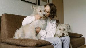 Vrei să te muți cu animalul tău de companie în Spania? Iată ce trebuie să știi despre chirie / Ce se întâmplă dacă un contract de închiriere nu menționează animalele