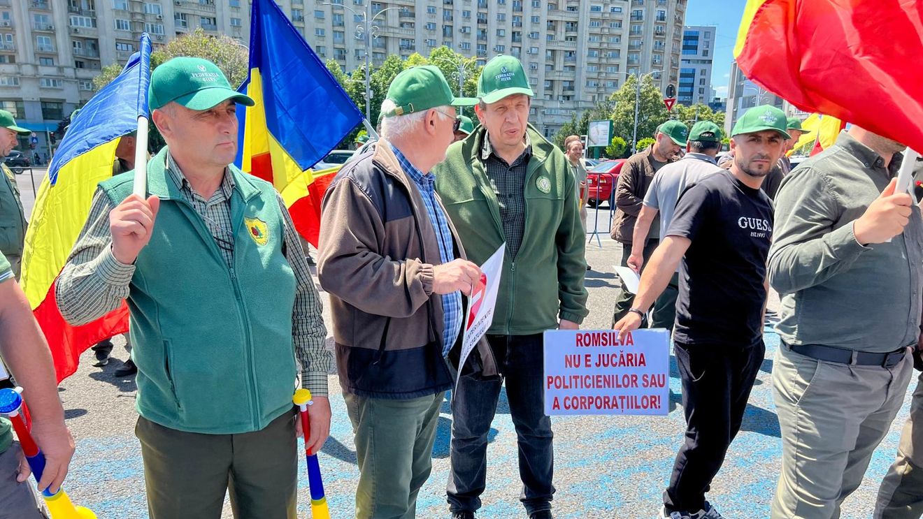 Silvicultorii solicită retragerea proiectului care vizează reorganizarea Romsilva şi anunţă un protest, miercuri, la Ministerul Mediului