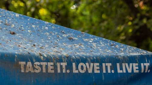 Prefectul Toni Greblă a trimis un control în Parcul Cișmigiu din cauza plângerilor cetățenilor. Parcul, gestionat de Primăria București și situat chiar peste drum de primărie, e într-o stare avansată de degradare