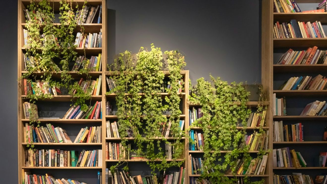 Aranjarea bibliotecii, adusă la rang de artă: Cum pot juca cărțile favorite și rolul de decorațiuni
