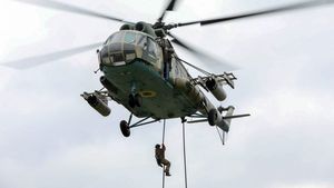 Polonia vrea să achiziționeze 96 de elicoptere Apache din SUA