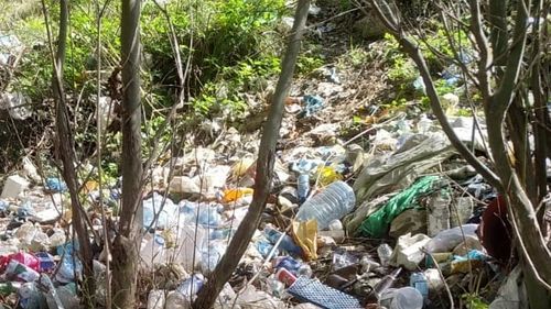 O femeie și un adolescent din localitatea Rupea, amendați cu 30.000 de lei, după ce au fost prinși aruncând gunoi pe un câmp / Jandarmii i-au obligat să adune și deșeurile aruncate