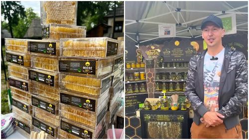 Ioan-Cosmin Herța, apicultor ale cărui produse au ajuns pe masa Papei, despre importurile din China și alte state: „Miere spălată” / Mierea adevărată e un medicament / „Nu poți să extinzi piața pe partea de ecologic, pentru că te lovești de pesticide!”