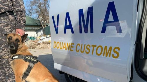 Alertă la granițe: Controale ale Vămii Române pentru combaterea fraudei cu alimente perisabile din import / Echipele mobile ale Vămii au fost mobilizate în puncte de tranzit și în zonele de frontieră