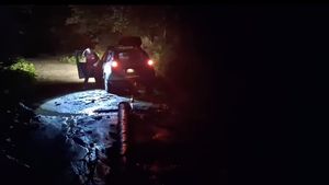 76 de oameni au fost coborâți, în total, de pe traseul Vârfului Moldoveanu, pe parcursul întregii zile! Două persoane sunt de naționalitate poloneză
