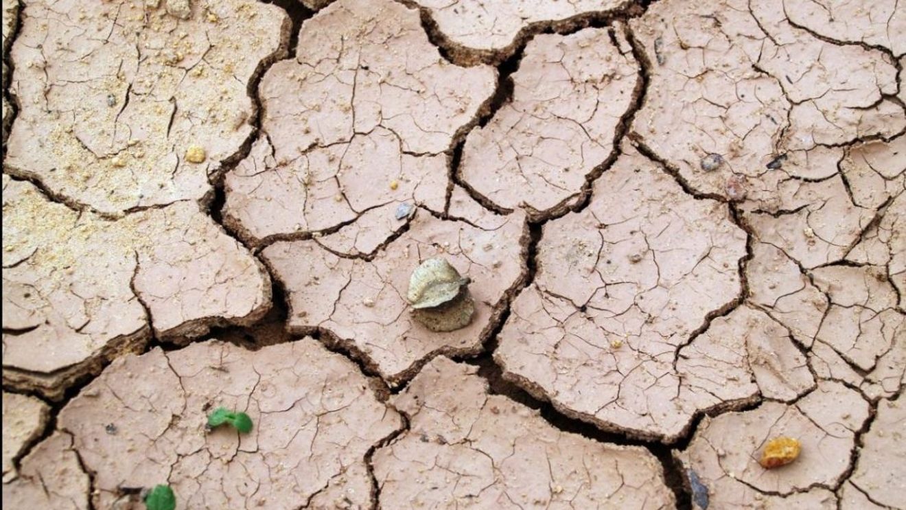 Suprafața afectată de secetă a crescut la peste un milion de hectare de teren agricol