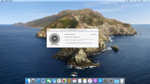 Doi tineri, de 19 și 21 de ani, din Râmnicu Vâlcea dezvoltă pearOS, un sistem de operare open-source care seamănă cu macOS / Dezvoltator: „Am vrut să oferim românilor, și nu numai, o alternativă viabilă la sistemele de operare comerciale”