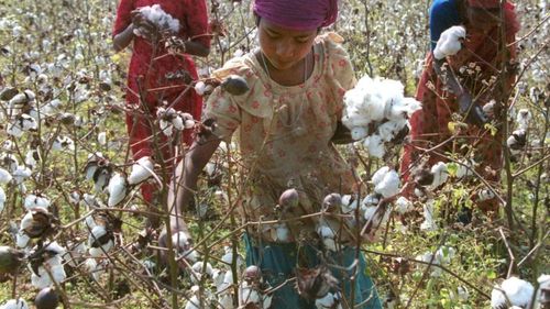 Rezoluția ONU: 2021, anul internațional pentru eliminarea muncii copiilor