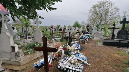 Primăria Botoșani a închiriat un excavator pentru a face față valului de decese / Criza locurilor în cimitir, similară cu cea din Italia, din primăvară