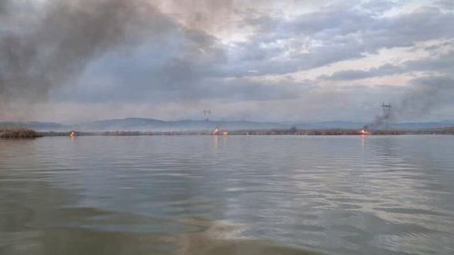 Vâlcea: Incendiu de vegetație pe o insulă, la confluenţa râurilor Olt şi Bistriţa / Intervenţie extrem de dificilă a pompierilor