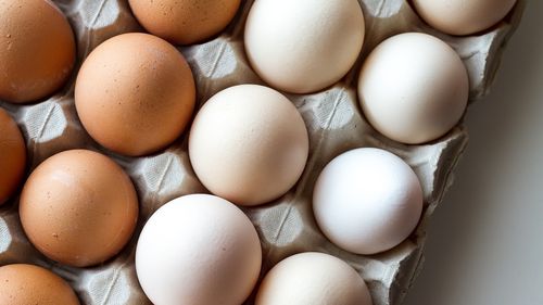 FOTO | Comerțul cu ouă nu este afectat de cererea crescută. Vedetele pieței sunt ouăle de struț
