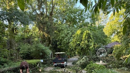 Grădina Zoologică Bucureşti se închide temporar, după furtuna de joi / Toate animalele sunt în siguranţă, fiind permanent supravegheate de echipele specializate