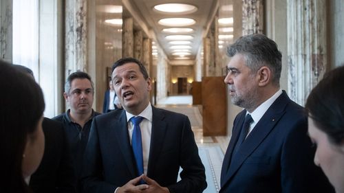 Grindeanu: A-i cere cuiva să îşi taie de bună-voie sinecura este ca şi cum ai cânta la flaut într-o sală plină de băieţi de cartier şi să speri că vor lăcrima de emoţie