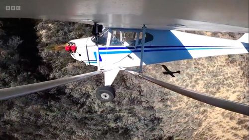 Un vlogger american a fost arestat după ce și-a prăbușit intenționat avionul, ca să facă vizualizări