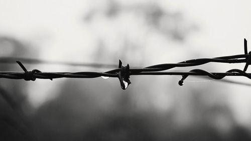 Markó Béla, despre referendum: Va veni o altă inițiativă. Prima dată despre avort. După, despre religia de stat. Apoi, despre pedeapsa cu moartea. Despre romi. Despre utilizarea steagului