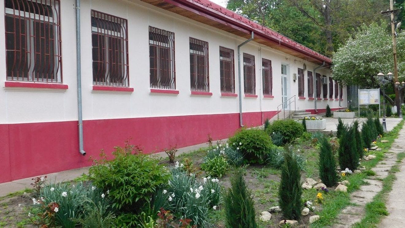 Acuze grave de tortură la un spital din Iași, aduse de un raport al Comisiei Europene  /  Șefii unității medicale: „Sunt cazuri vechi” / În raportul care acoperă anul 2024 se vorbește de pălmuiri, împingeri, smulgerea părului, lovituri și supraaglomerare