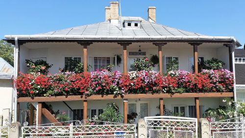 Licitație uriașă: 100 de milioane euro pentru înregistrarea în Sistemul de Cadastru și Carte Funciară a imobilelor din mediul rural