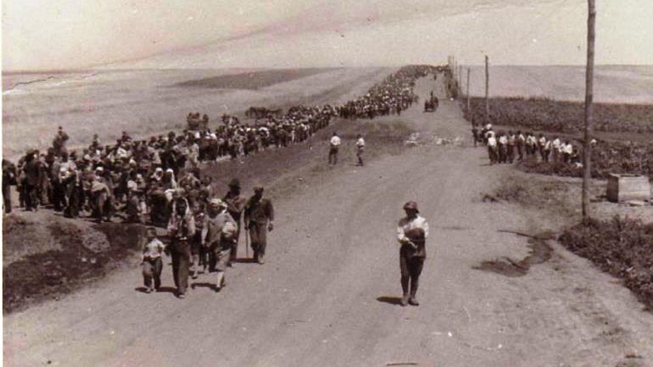 Premierul Ciucă, mesaj de ziua internațională a romilor: Un moment potrivit de a ne aminti de atrocitățile din Holocaust sau de asimilarea forțată din timpul dictaturii comuniste