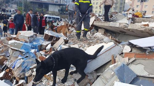 Echipa de salvatori români a participat la scoaterea de sub dărâmături a unei femei în Turcia/ Aceasta a fost predată conştientă echipajelor medicale