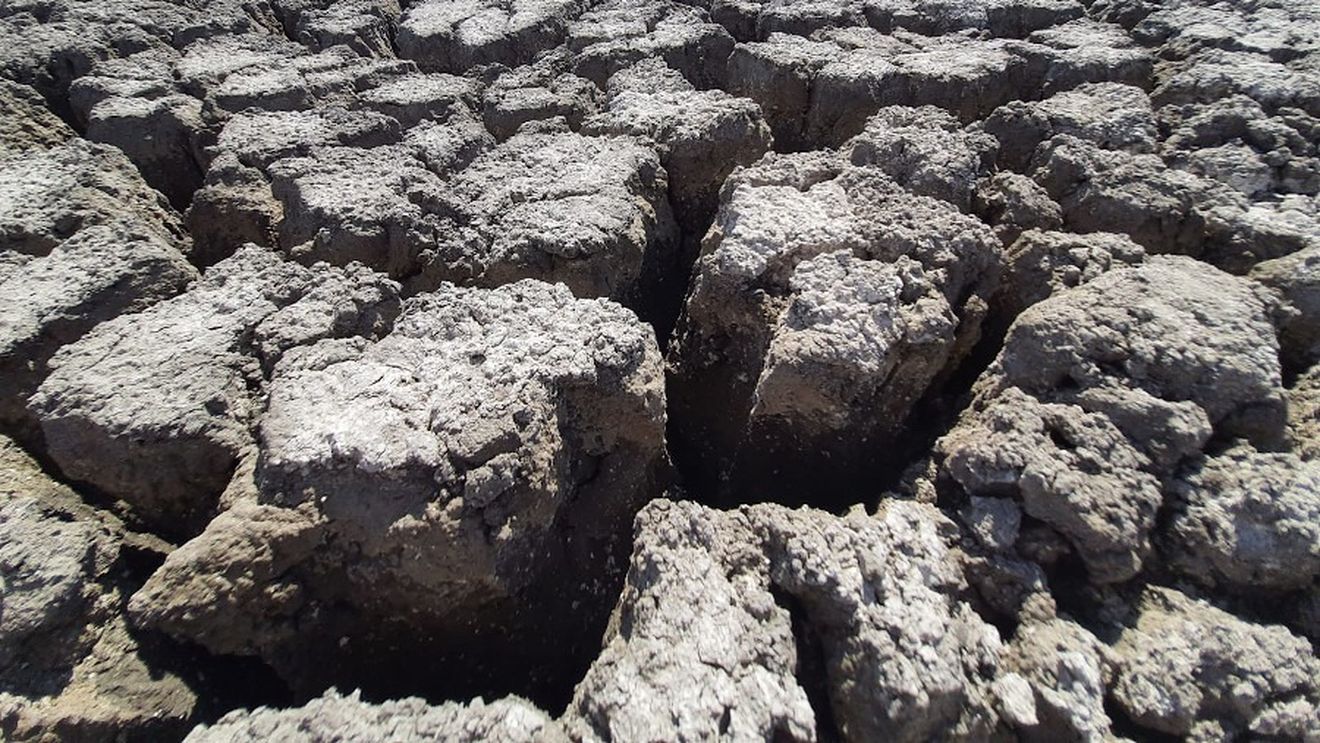 Senatorul Mihai Goțiu cere Ministerului Mediului să trimită Corpul de control pentru a verifica cum a fost posibil ca un lac de 851 de hectare să sece în totalitate, în județul Constanța