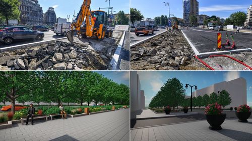 FOTO Primăria Capitalei reface trotuarele și amenajează noi spații verzi pe Bd. Națiunile Unite și Bd. 13 Septembrie cu aproape 100 de arbori și 15.000 de plante