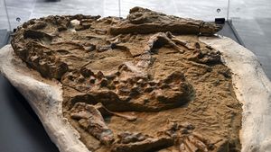 O fosilă din Antarctica ar putea aparţine unui strămoş al raţelor din epoca dinozaurilor